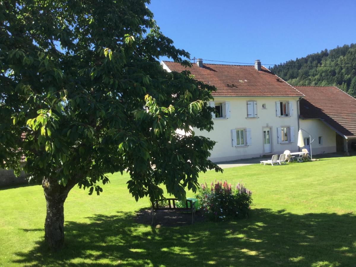 Gite Leonline Sur Les Hauteurs De Masevaux -Au Pied Des Vosges エクステリア 写真