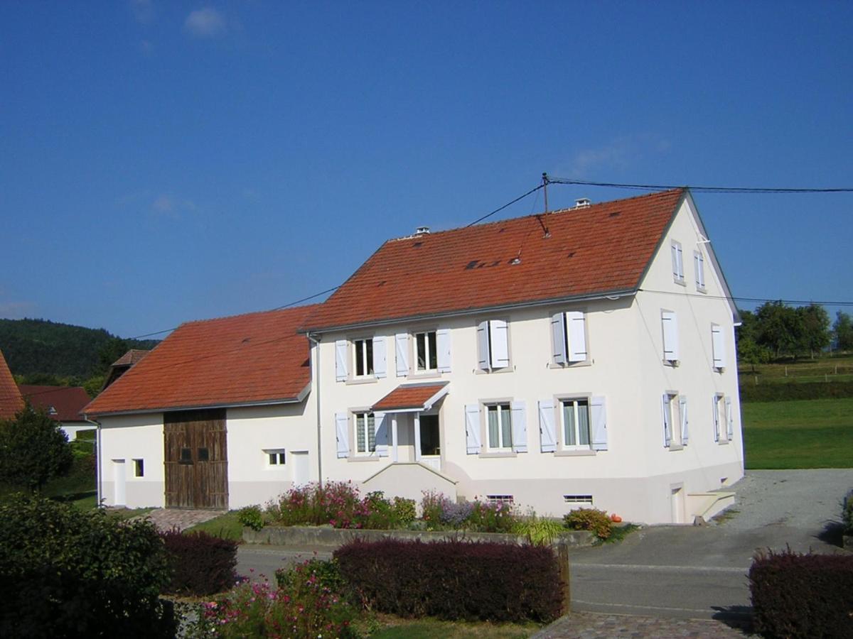 Gite Leonline Sur Les Hauteurs De Masevaux -Au Pied Des Vosges エクステリア 写真