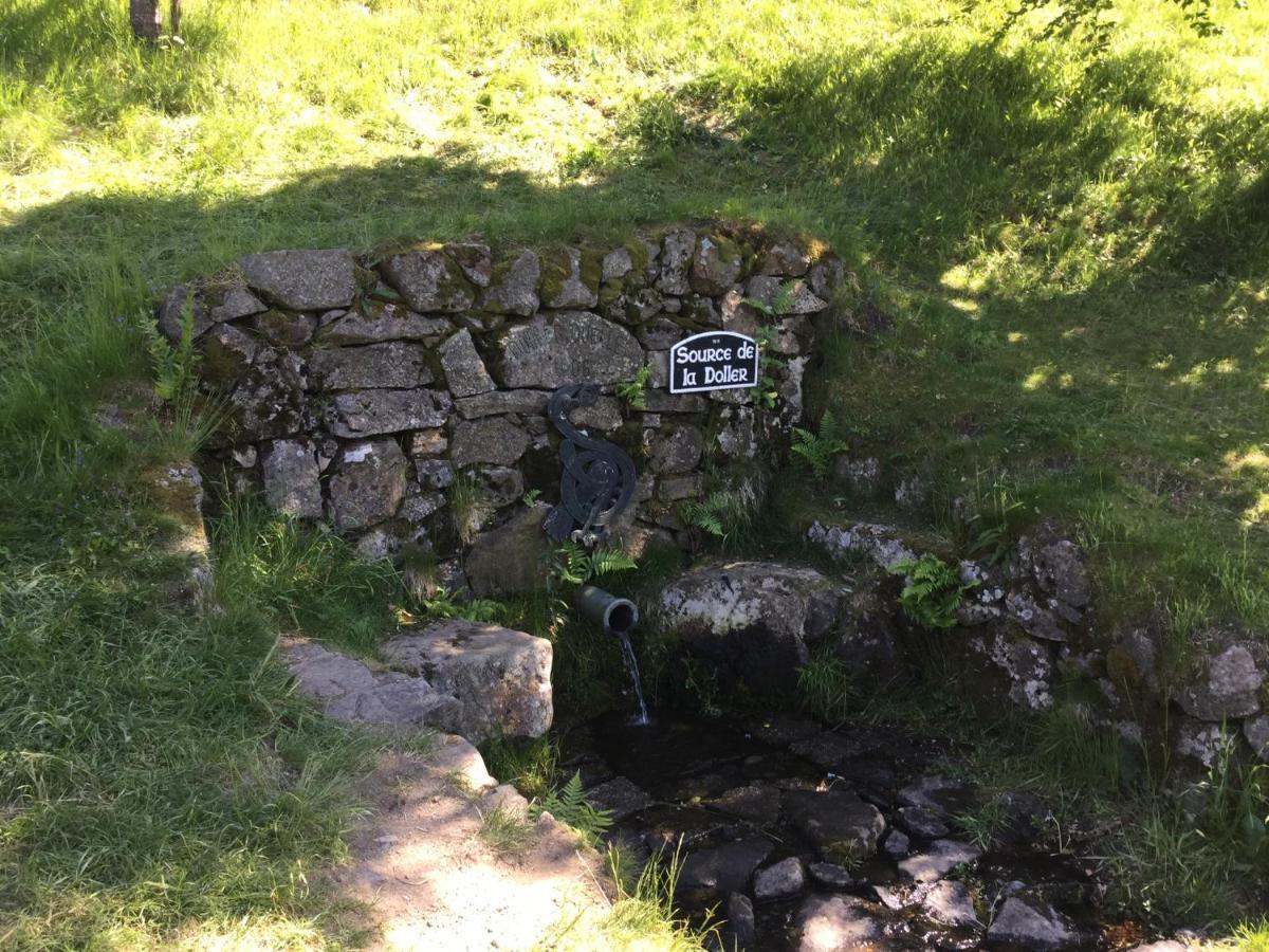 Gite Leonline Sur Les Hauteurs De Masevaux -Au Pied Des Vosges エクステリア 写真
