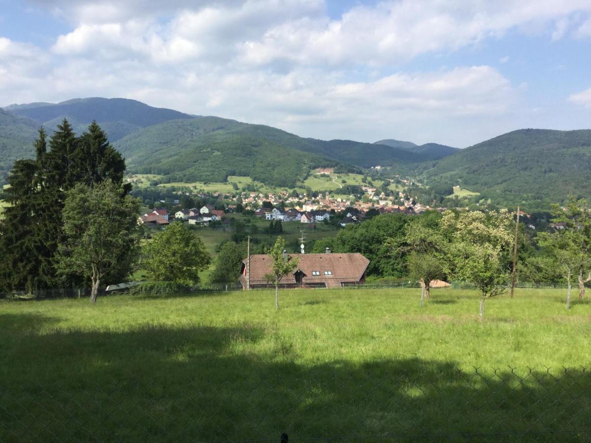 Gite Leonline Sur Les Hauteurs De Masevaux -Au Pied Des Vosges エクステリア 写真