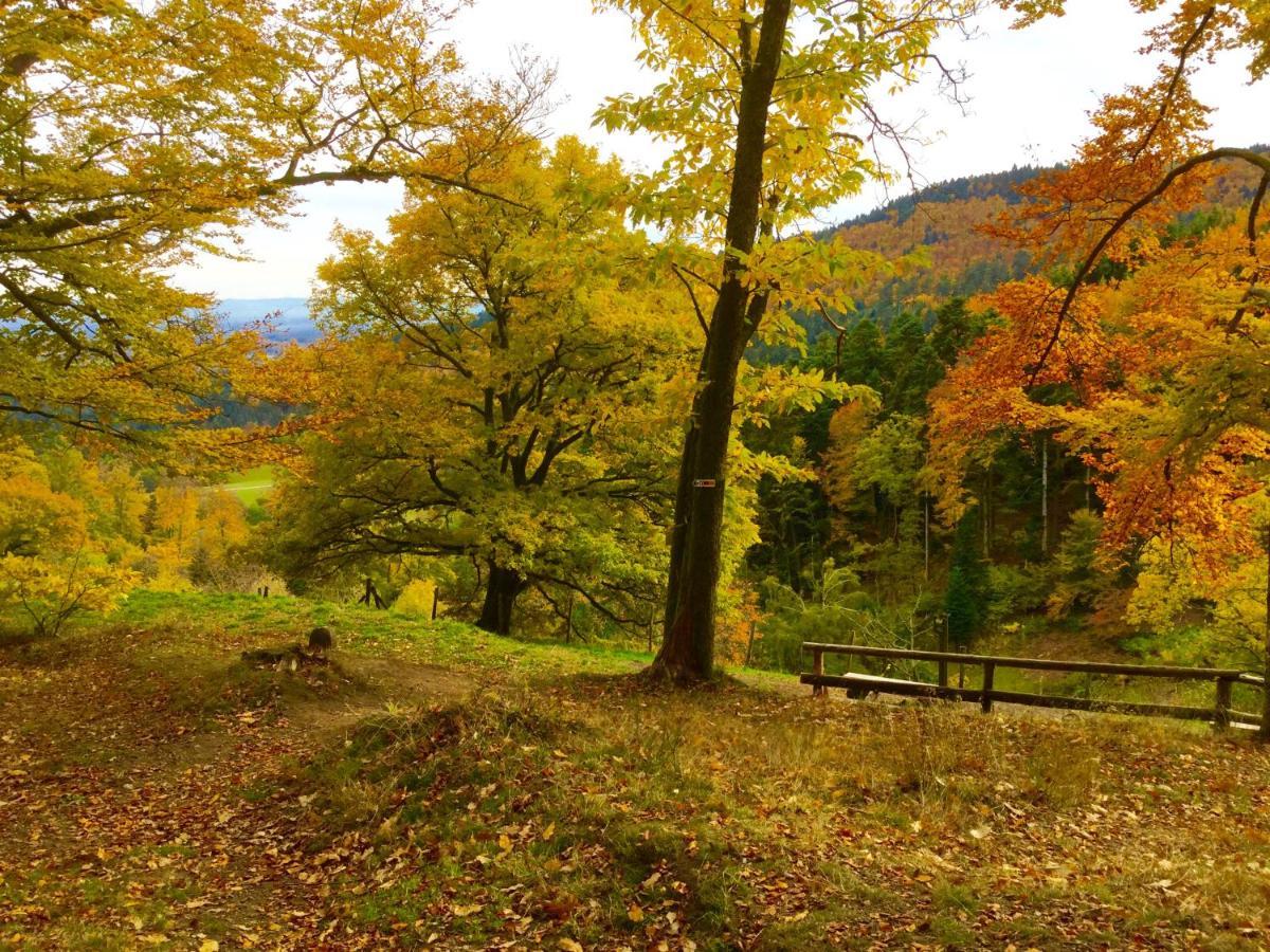Gite Leonline Sur Les Hauteurs De Masevaux -Au Pied Des Vosges エクステリア 写真