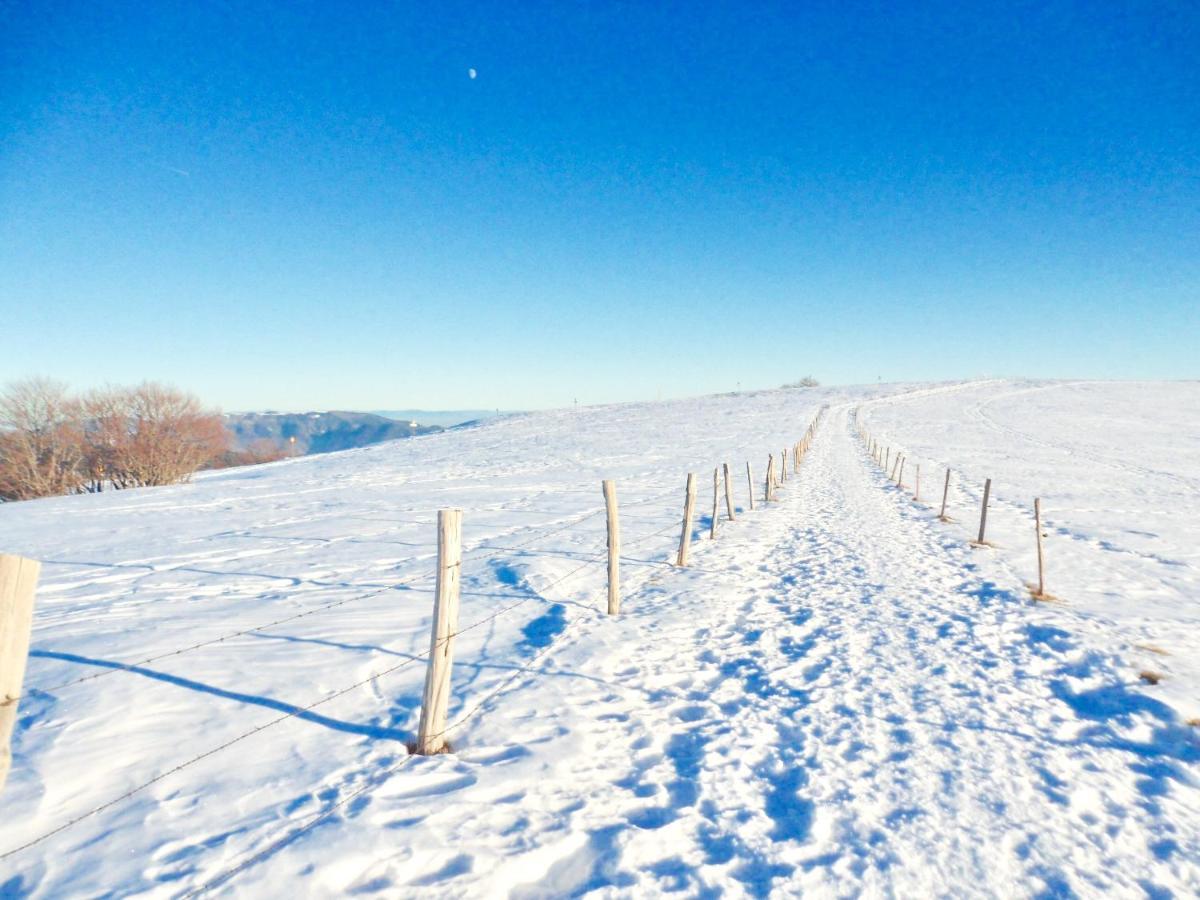 Gite Leonline Sur Les Hauteurs De Masevaux -Au Pied Des Vosges エクステリア 写真