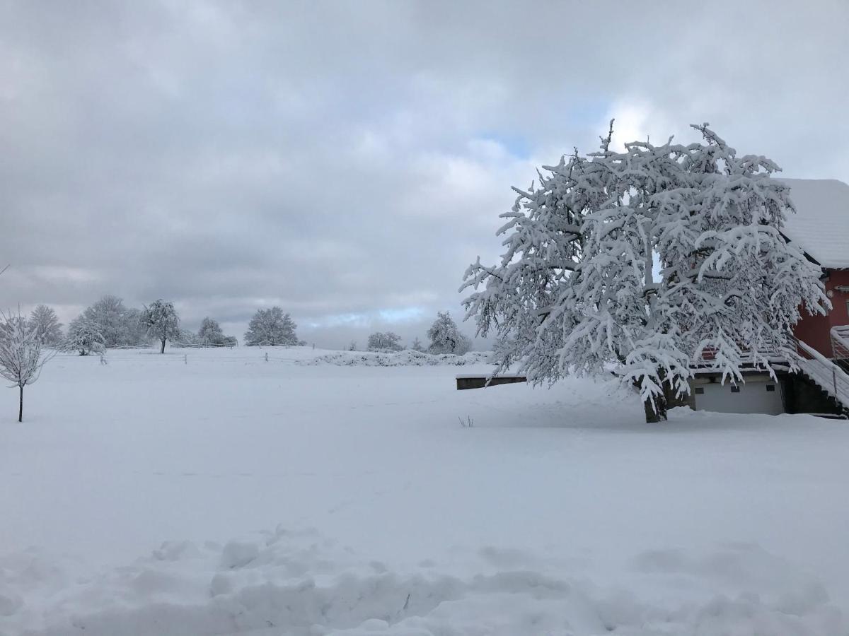 Gite Leonline Sur Les Hauteurs De Masevaux -Au Pied Des Vosges エクステリア 写真
