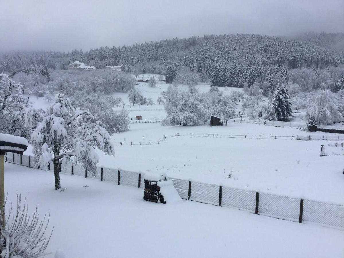 Gite Leonline Sur Les Hauteurs De Masevaux -Au Pied Des Vosges エクステリア 写真