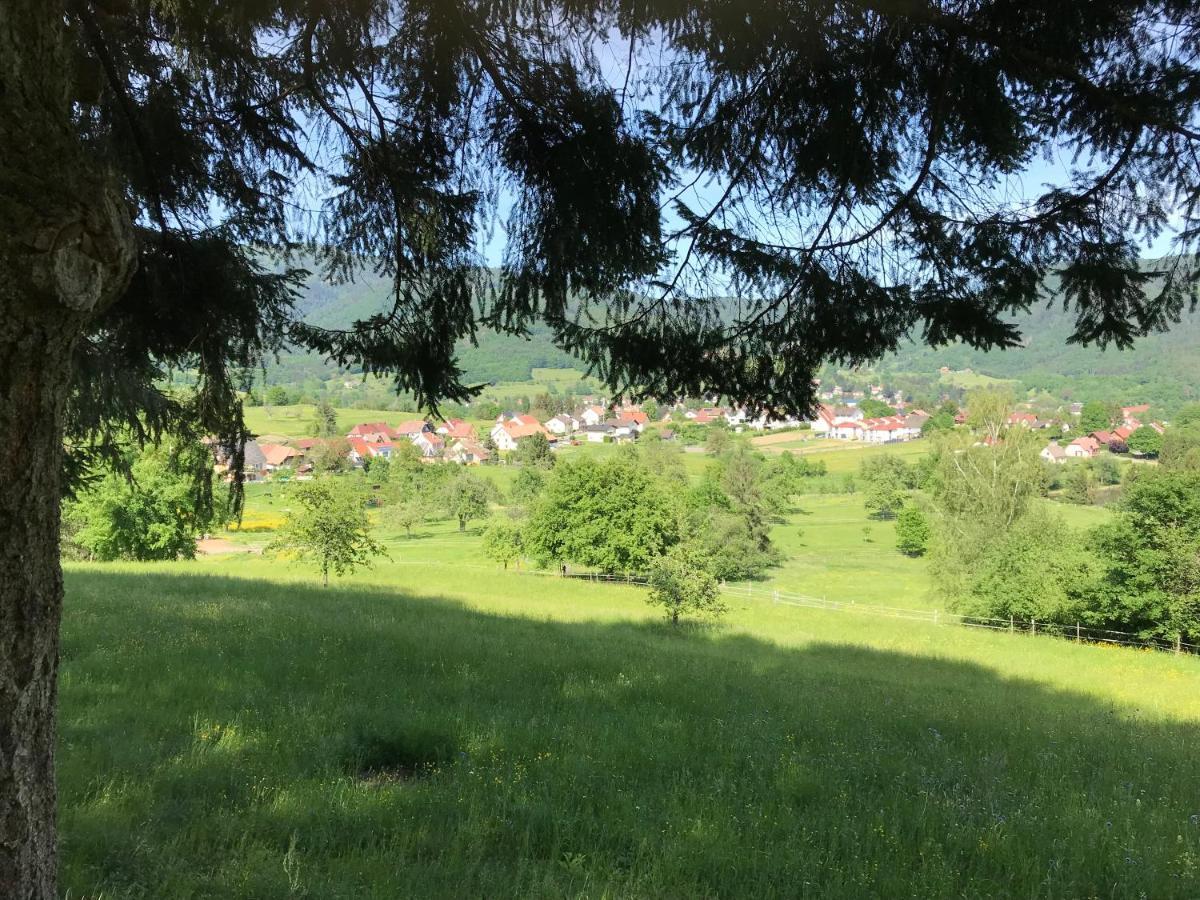 Gite Leonline Sur Les Hauteurs De Masevaux -Au Pied Des Vosges エクステリア 写真